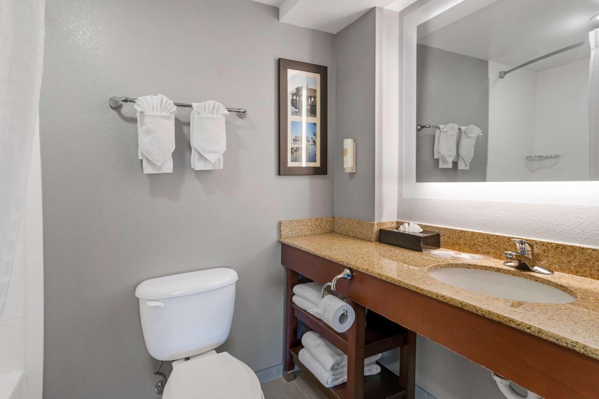 Comfort Suites Near Birkdale Village- Huntersville Εξωτερικό φωτογραφία